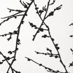 обои Almendros